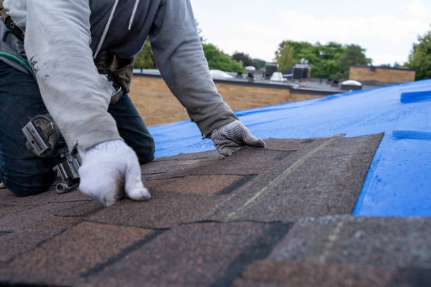 Best Metal Roofing Contractor  in West Newton, PA